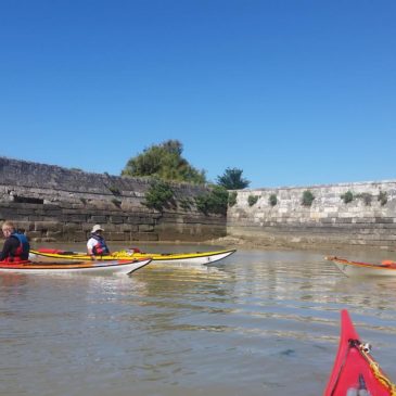 Randonnée à La Flotte-en-Ré