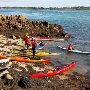 Stage CKMER dans le Golfe du Morbihan