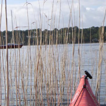 Reconnaissance dans le bassin d’Arcachon …