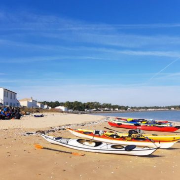 Les “bleus” du Port du Plomb